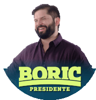 Boric Gabriel Boric Sticker - Boric Gabriel Boric Chile Stickers