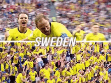 Sweden World Cup GIF - Sweden World Cup Quarter Finals GIFs