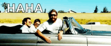 the hangover zach galifianakis point laugh laughing the hangover zach galifianakis point laugh laughing