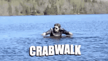 Oakville Crabwalk GIF - Oakville Crabwalk Mane GIFs