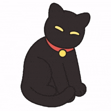 companion cat