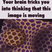 your brain
