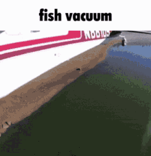 fish vacuum