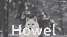 howel howling