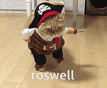 Roswell Havoalk GIF - Roswell Havoalk Cat GIFs