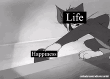 happiness life tom and jerry hole