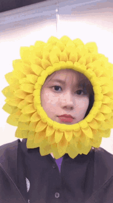 sunflower bnk48