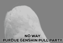 Pgipp Purdue Pull GIF - Pgipp Purdue Pull Purdue Genshin Impact Pull Party GIFs