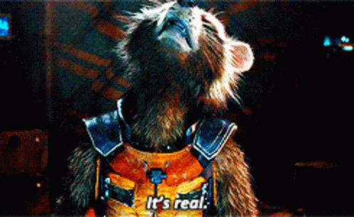 Rocket Raccoon Its Real GIF - Rocket Raccoon Its Real It Is Real - Descubre...