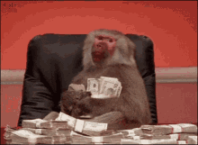 Baboon Money GIF - Baboon Money Boss GIFs