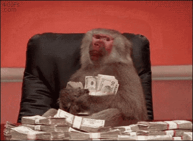 [Image: baboon-money.gif]