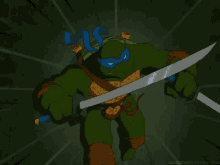 ninja turtles tmnt leonardo