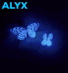 Alyx Butterfly GIF - Alyx Butterfly Flying GIFs