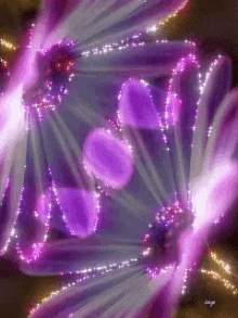 Animated Purple Flowers GIFs | Tenor