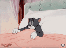 Good Morning Tom And Jerry GIF - Good Morning Tom And Jerry Tom GIFs