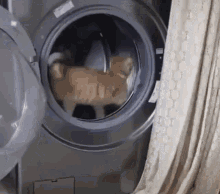 Cat Running GIF - Cat Running Washing Machine GIFs