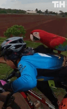 cycling biking riding parrot having fun