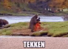 Tekken Kuma GIF - Tekken Kuma Tekken7 GIFs