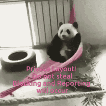 Panda Stealing GIF - Panda Stealing Report GIFs