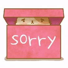 sorry so sorry apologies apology excuse me