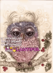 beautiful owl multicolored oprah beautiful owl multicolored oprah