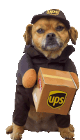 Mail Delivery Dog Sticker - Mail Delivery Dog Stickers