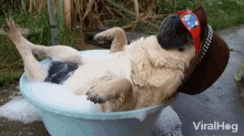 Laid Back Relax GIF - Laid Back Relax Chill GIFs