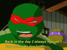 Raphael Top Turtle GIF - Raphael Top Turtle Ninja Turtles GIFs