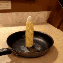 玉米 爆米花 锅 神奇 火柴 GIF - Corn Popcorn Amazing GIFs