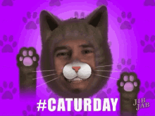 Caturday Happy GIF - Caturday Happy Sabado GIFs