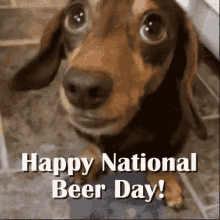National Beer GIF - National Beer Day GIFs