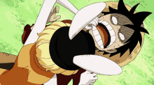 Luffy And Carrot One Piece GIF - Luffy And Carrot One Piece Monkey D Luffy GIFs