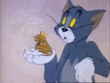 tom and jerry tom jerry cat mouse