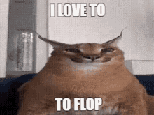 I Love To Flop GIF - I Love To Flop GIFs