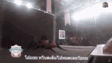 haewkorn kornhaew gift surprise