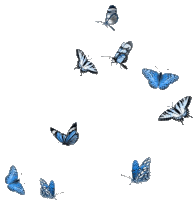 Butterflies Sticker - Butterflies Stickers