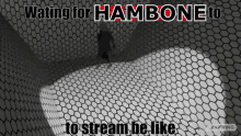 Hambone Ttv Hambone GIF - Hambone Ttv Hambone Hambone Streams GIFs