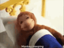 Monkey Sleeping GIF - Monkey Sleeping GIFs