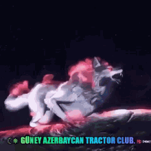 Tractor Klub Güney Azerbaycan GIF - Tractor Klub Güney Azerbaycan Milliyyetçi Futbol Komandosu GIFs