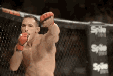 Chandler GIF - Chandler Fighting Throwing Punches GIFs