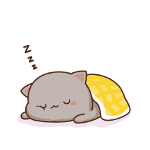 cat sleeping clingy tired kitty