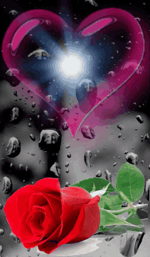 Heart Rose GIF - Heart Rose Flower GIFs