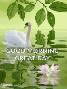 Good Morning Swan GIF - Good Morning Swan Sparkles GIFs