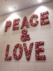 pueblaenpaz peace and love