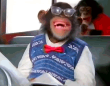 Monkey Eyeglasses GIF - Monkey Eyeglasses Sweater Vest GIFs
