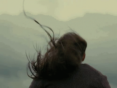 toupee blowing in the wind gif