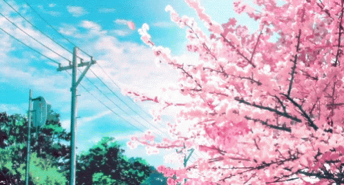 Anime Cherry Blossom Tree Gifs Tenor