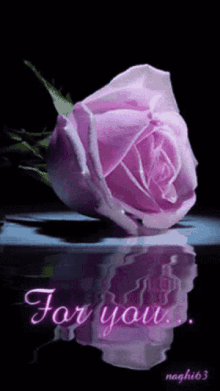 For You Pink Rose GIF - For You Pink Rose GIFs