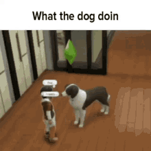 memes dog sims hug memes dog sims hug