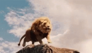 Wild Animals Lion GIF - Wild Animals Lion Roar - Discover & Share GIFs